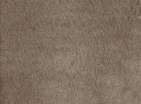 Фото - ковролина aw silk 49